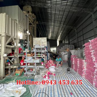 hinh-anh-09.jpg
