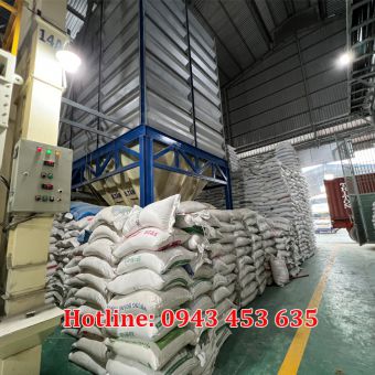 hinh-anh-10.jpg
