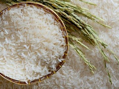 Lợi ích của gạo ST25 đối với sức khỏe, đặc biệt với người bị tiểu đường